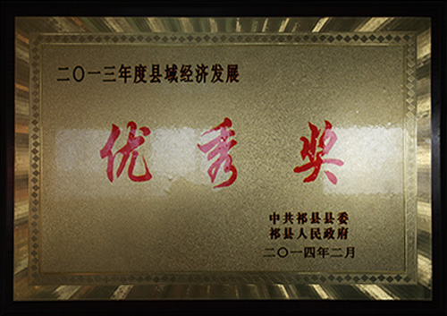 優(yōu)秀獎(jiǎng)